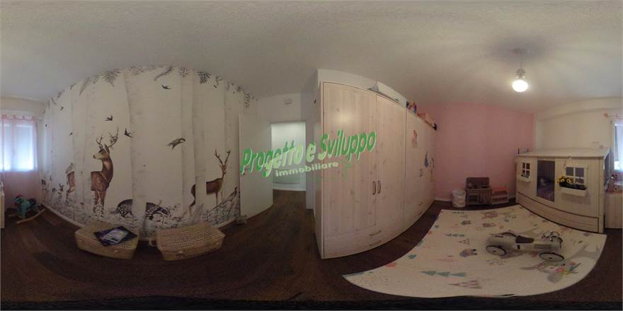 camera 1