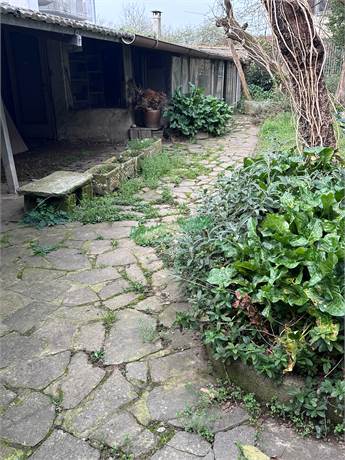 Photo 32