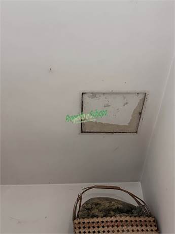 Photo 35